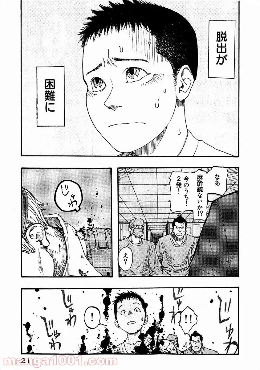 21