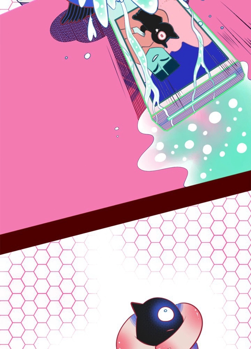 43
