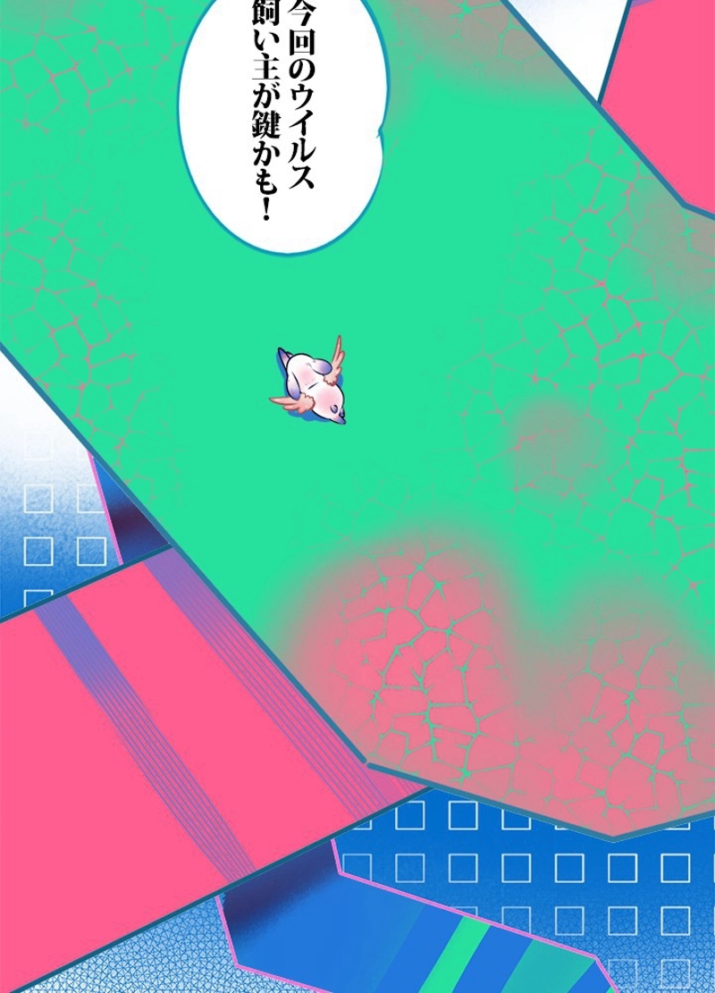 51