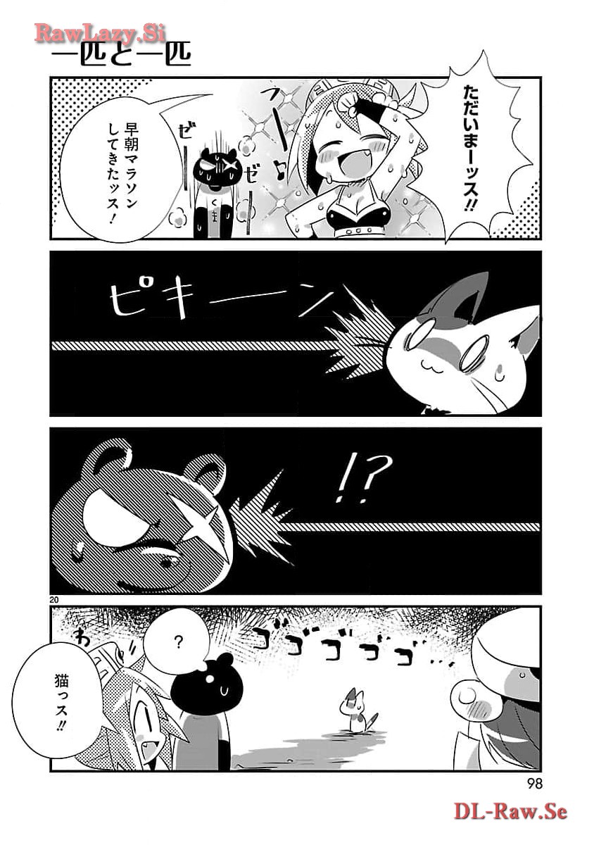 19