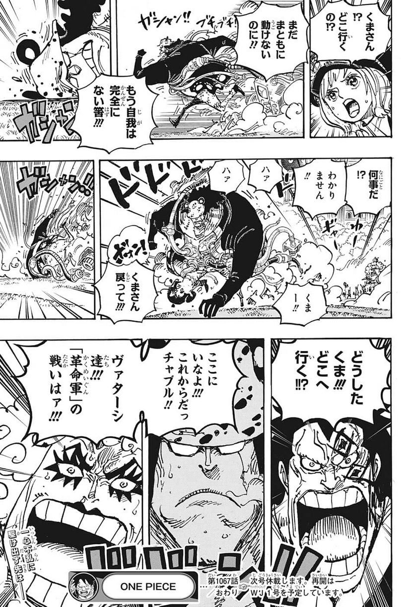 ワンピース - 第1067話: 第1067話
 読む - Page 15
