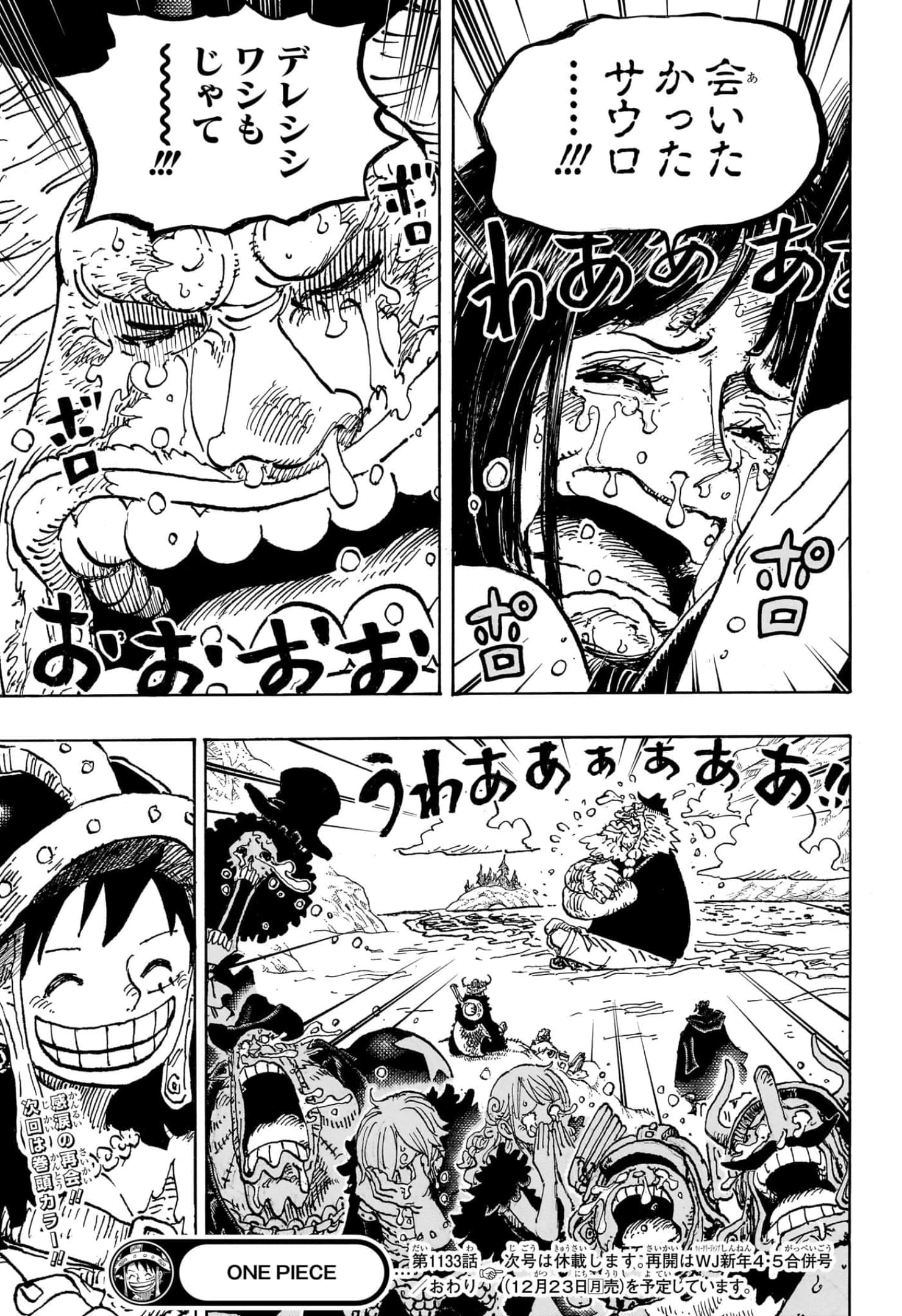 ワンピース - 第1133話: 【第 1133 話】
 読む - Page 15